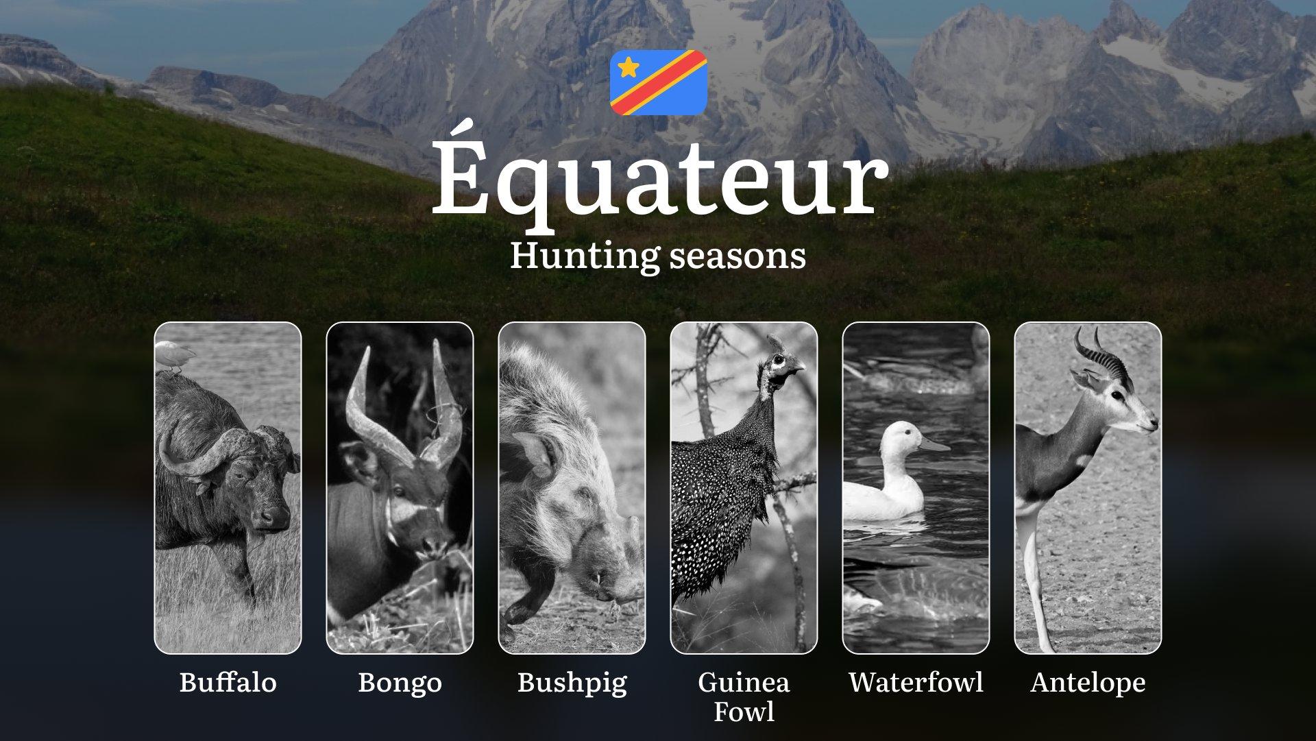 Hunting Date Ranges in Équateur: Main Seasons by Species, No-Hunt Zones, Regulations and Special Cases, License Process, Recommended Equipment, Best Spots, and Timing Tips