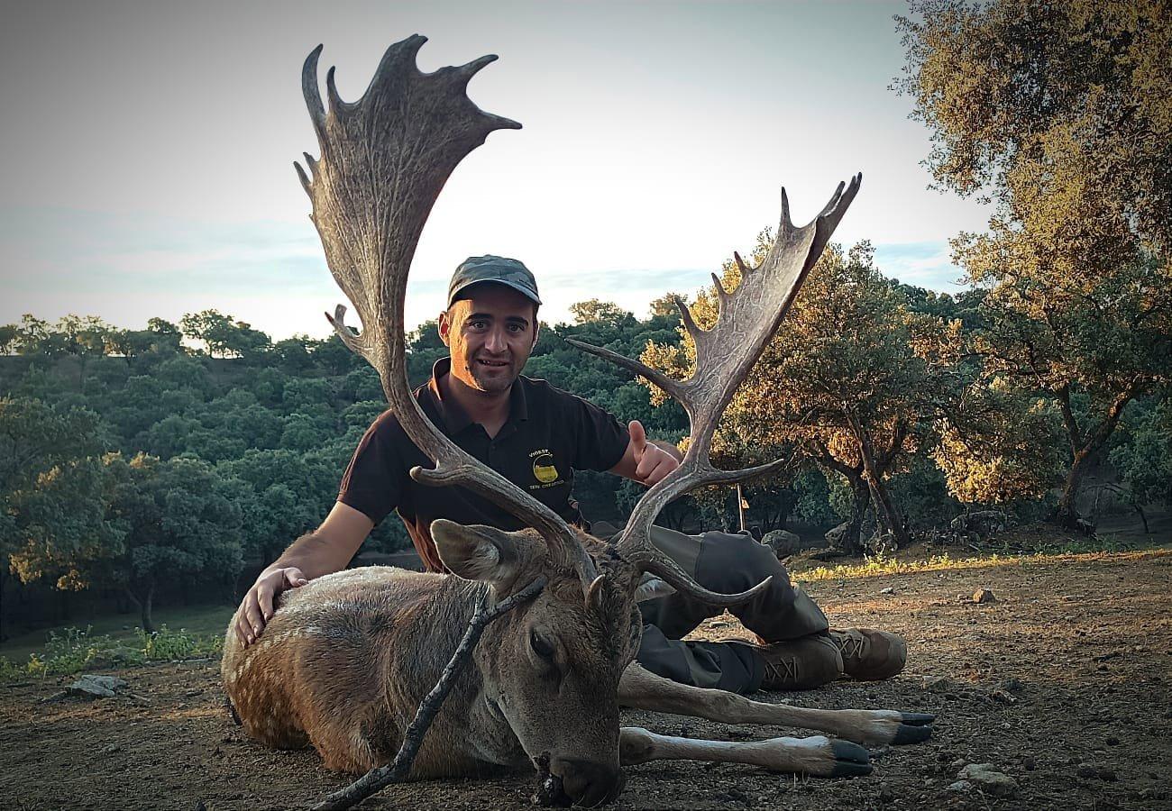rececho gamo roncadelgamo cazamayor recechos hunters hunting spainhunters cazaenespaña hunt caza cazaypesca cazador ciervo