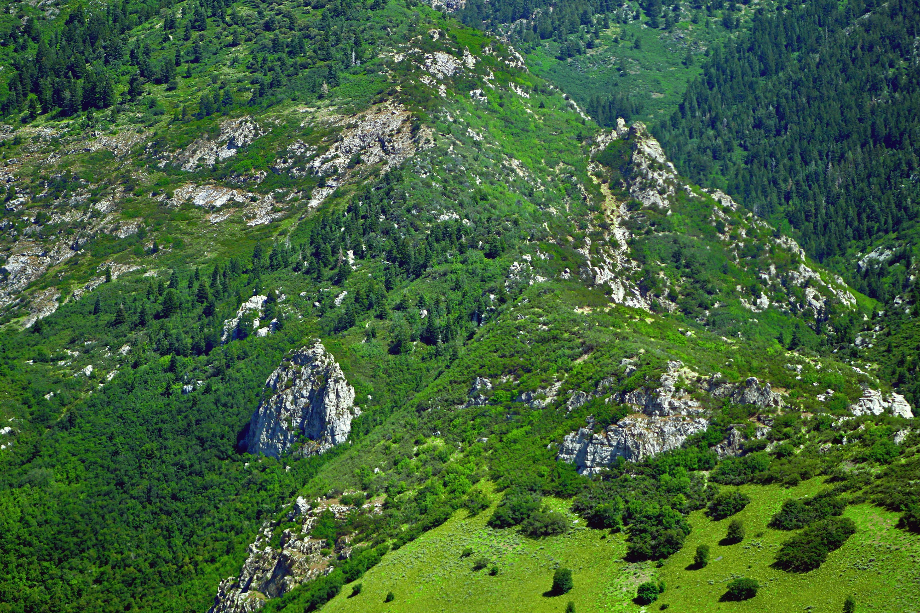 Jagd in Mauren, Liechtenstein: Natur, Geografische Besonderheiten, Wildbestände, Traditionen und Gesetze 