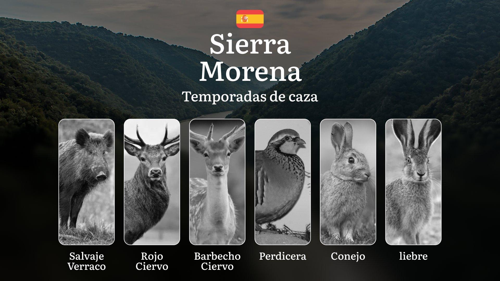 Caza en SIERRA MORENA: Temporadas y períodos de caza, Normativas y Gestión Sostenible de Especies Cinegéticas