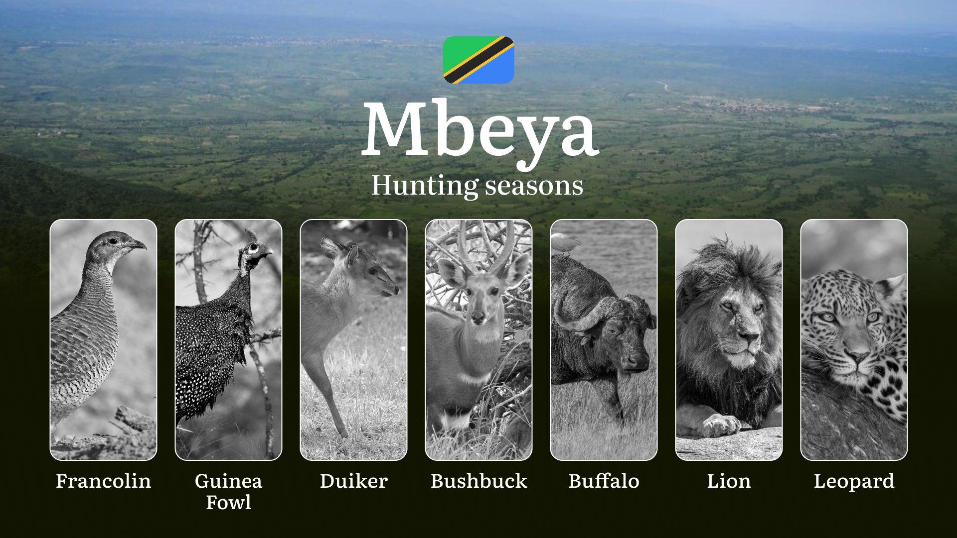 Hunting Calendar for Mbeya: Prime Times for Big and Small Game, Restricted Areas, Regulations and Exemptions, Obtaining Your Hunting Permit, Equipment, Locations, and Optimal Timing