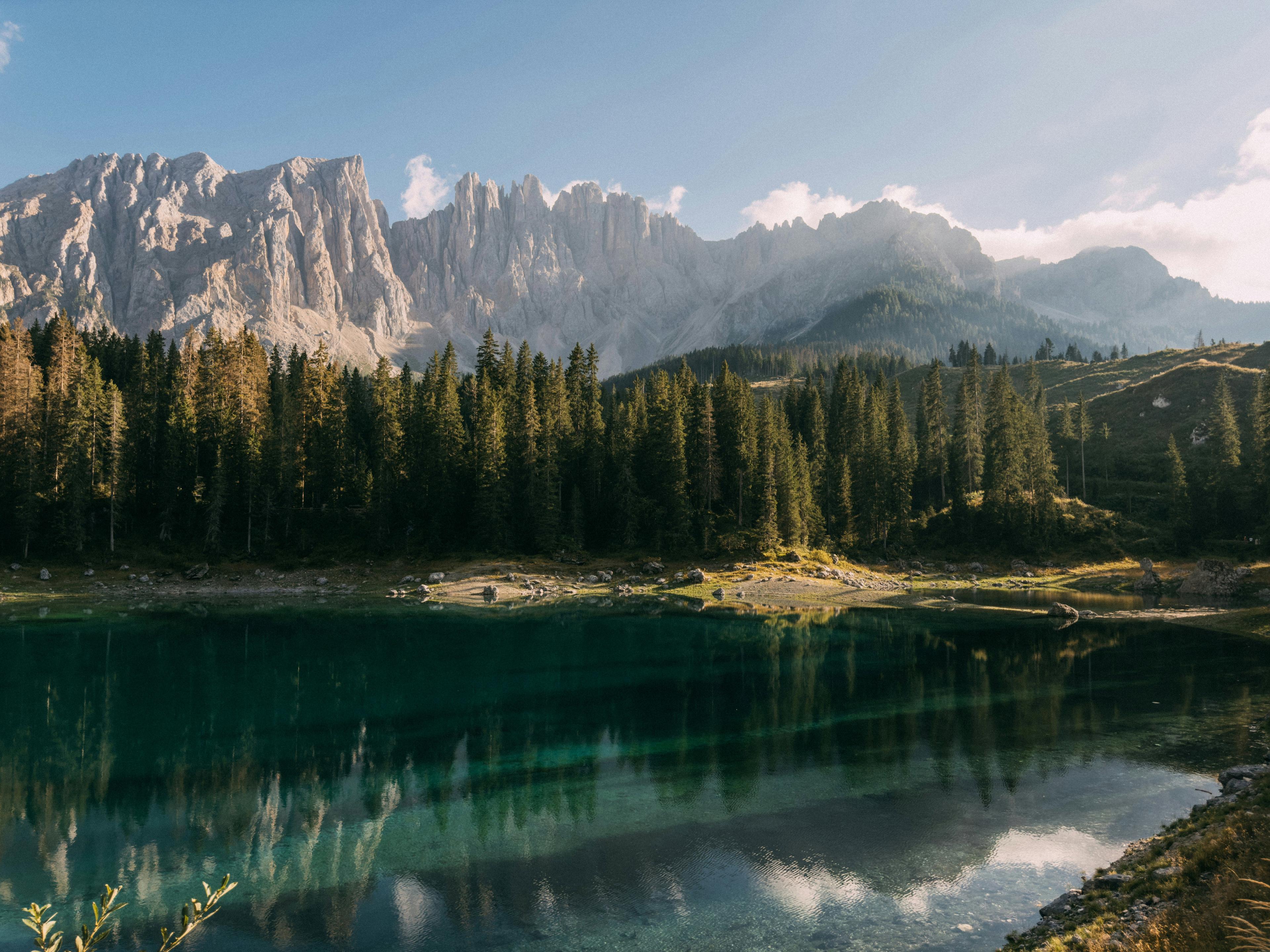 Caccia nell’Appennino Tosco-Emiliano: Un Viaggio tra Biodiversità, Storia e Regole Rigorose