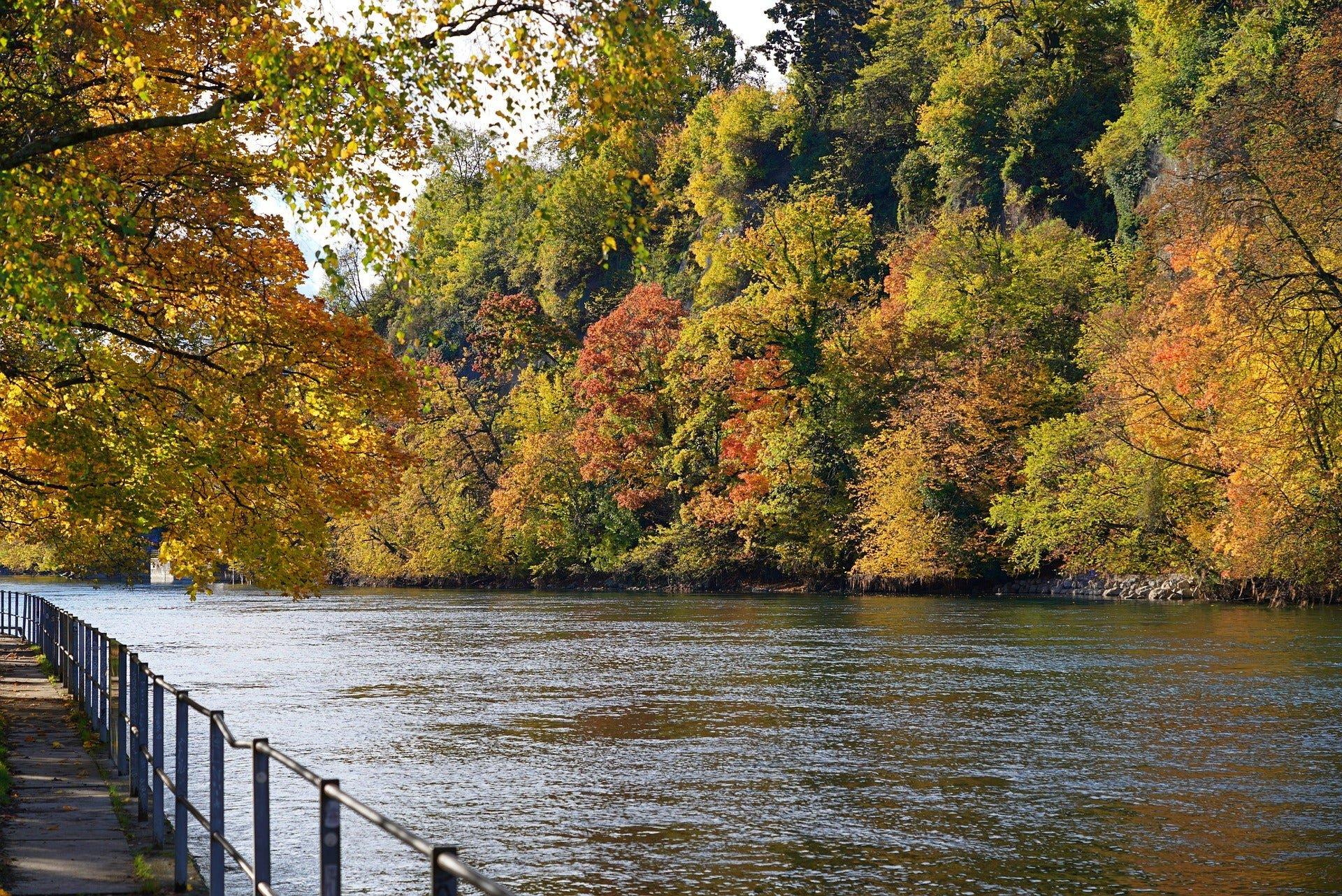 Chasse dans le RHÔNE: Paysages remarquables, particularités cynégétiques, traditions authentiques et clubs de passionnés