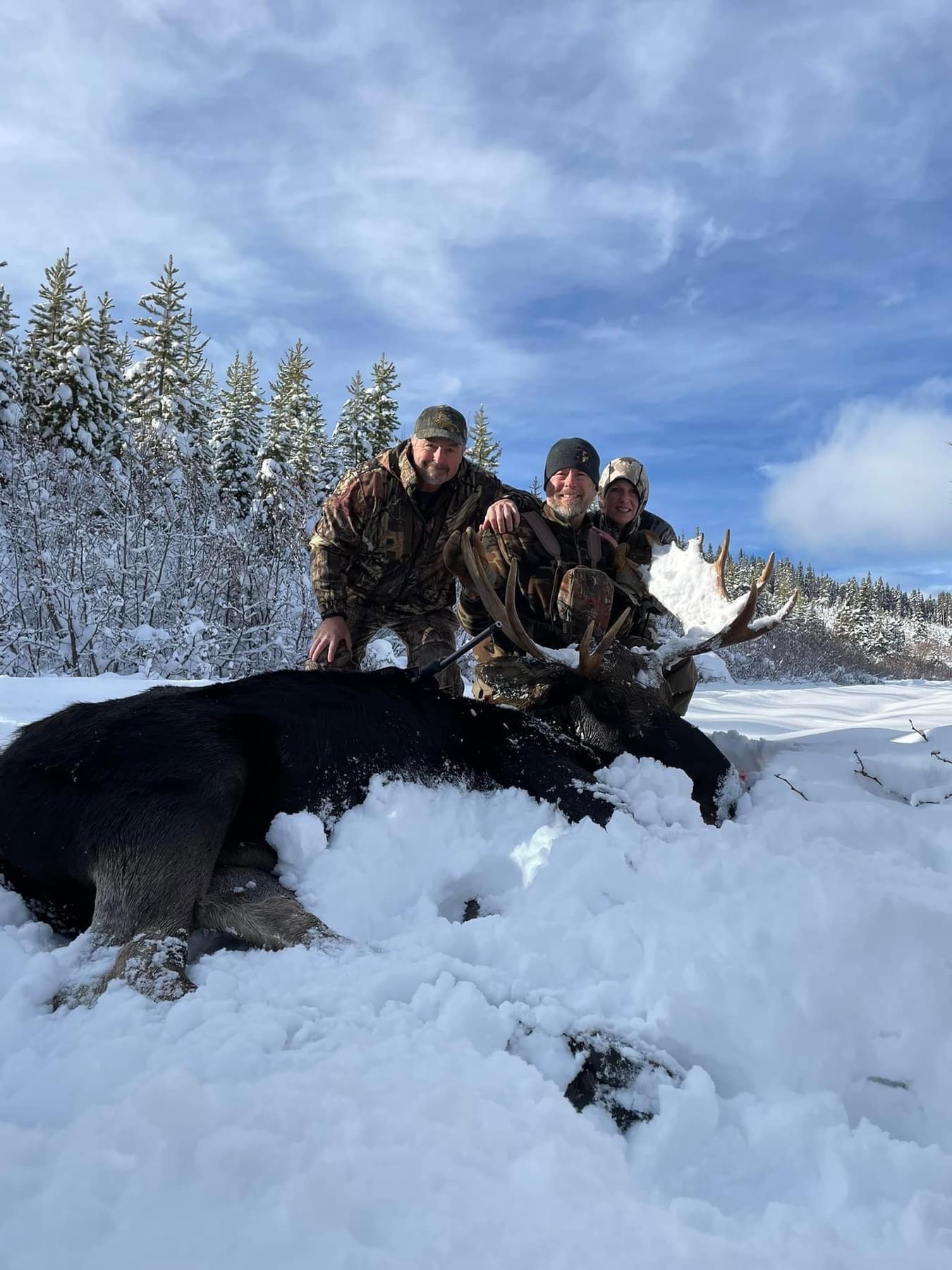 Moose down.