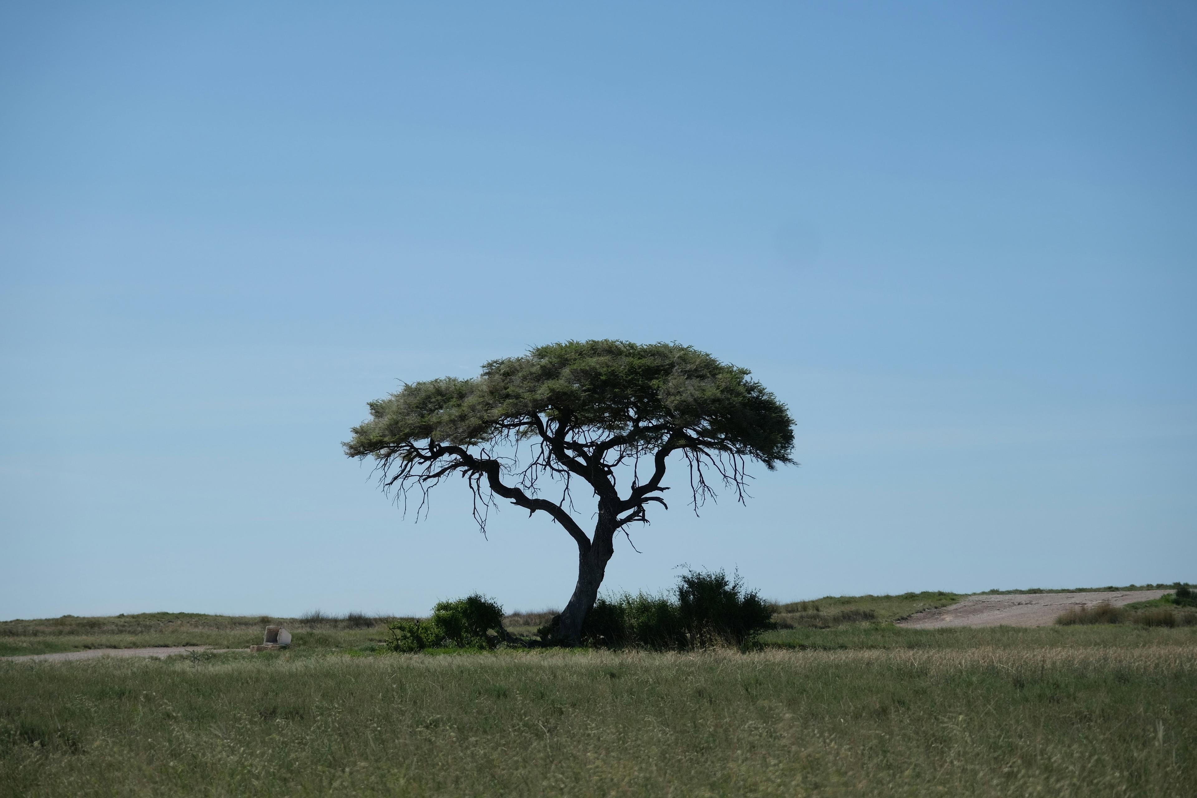 Hunting Equipment Markets in Bamako – Seasons, Clubs, Geography.