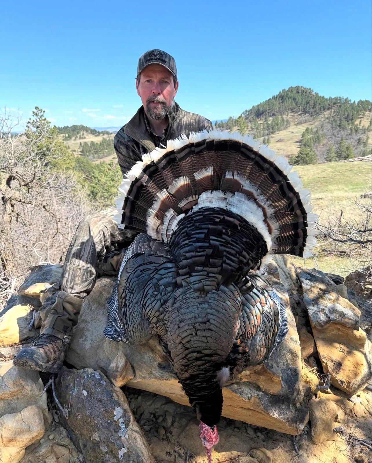 Mike Chamberlain — Wild Turkey Doc, Hunting Influencer & Blogger | Wild Turkey Lab (UGA)