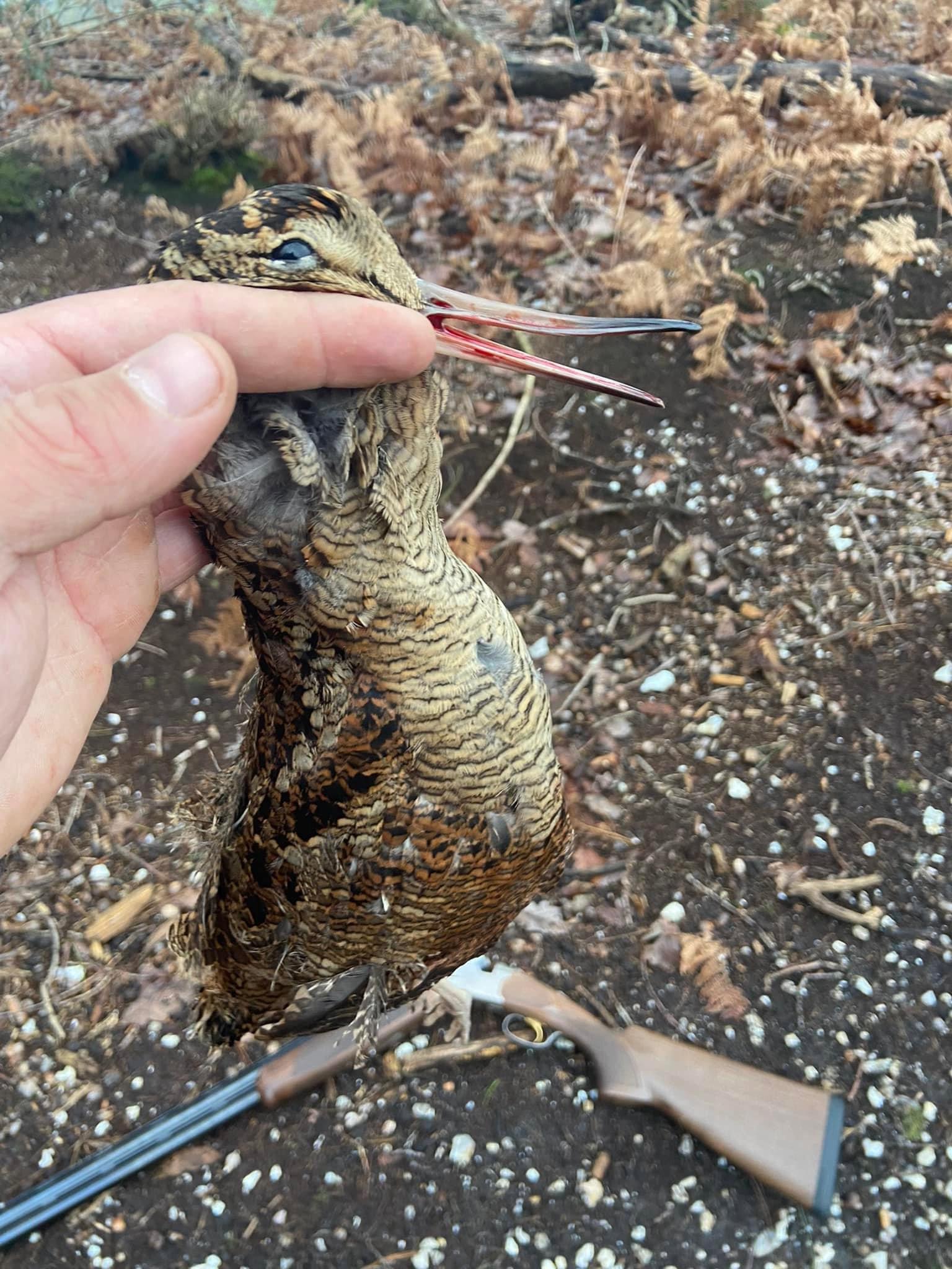 Une bonne journée de réussite et de rigolade, l’occasion de sortir le beretta aux petits gibiers avant les fêtes, j’aurais l’occasion de prélever deux bécasses et deux faisans, beaucoup d’oiseaux de vu concernant les bécasses c’était excellent, mais j’ai fait mon plus beau loupé sur un faisan je peux vous le dire 🤣 