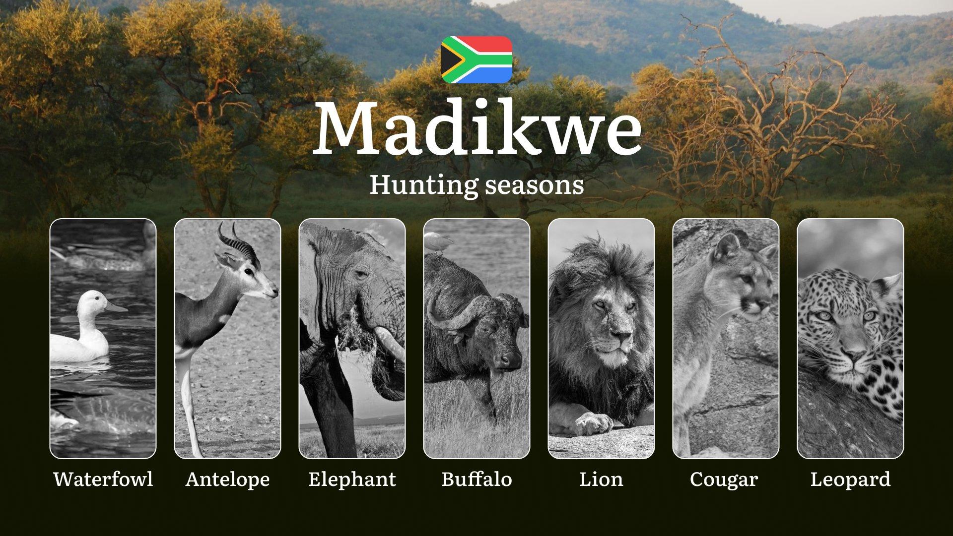 Hunting Dates in South Africa: The Madikwe Region and Seasonal Nuances, Periods and Time, Limits and Rules, Restrictions and Bans