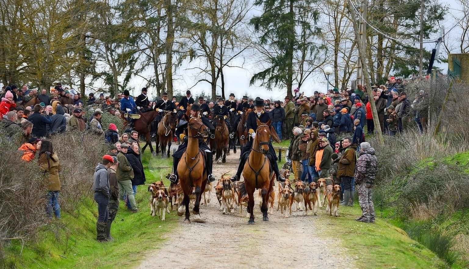 Vautrait De La merlerie (Journée grande Meute Banassat)