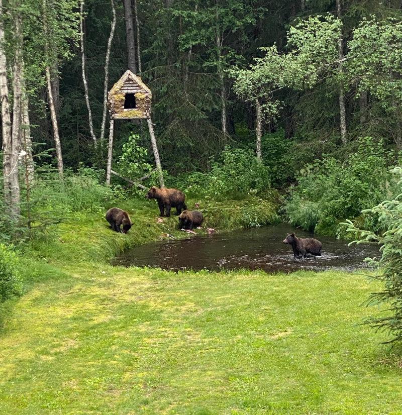 Just some random samples here of things I’ve built here all on the same 5 acre property.