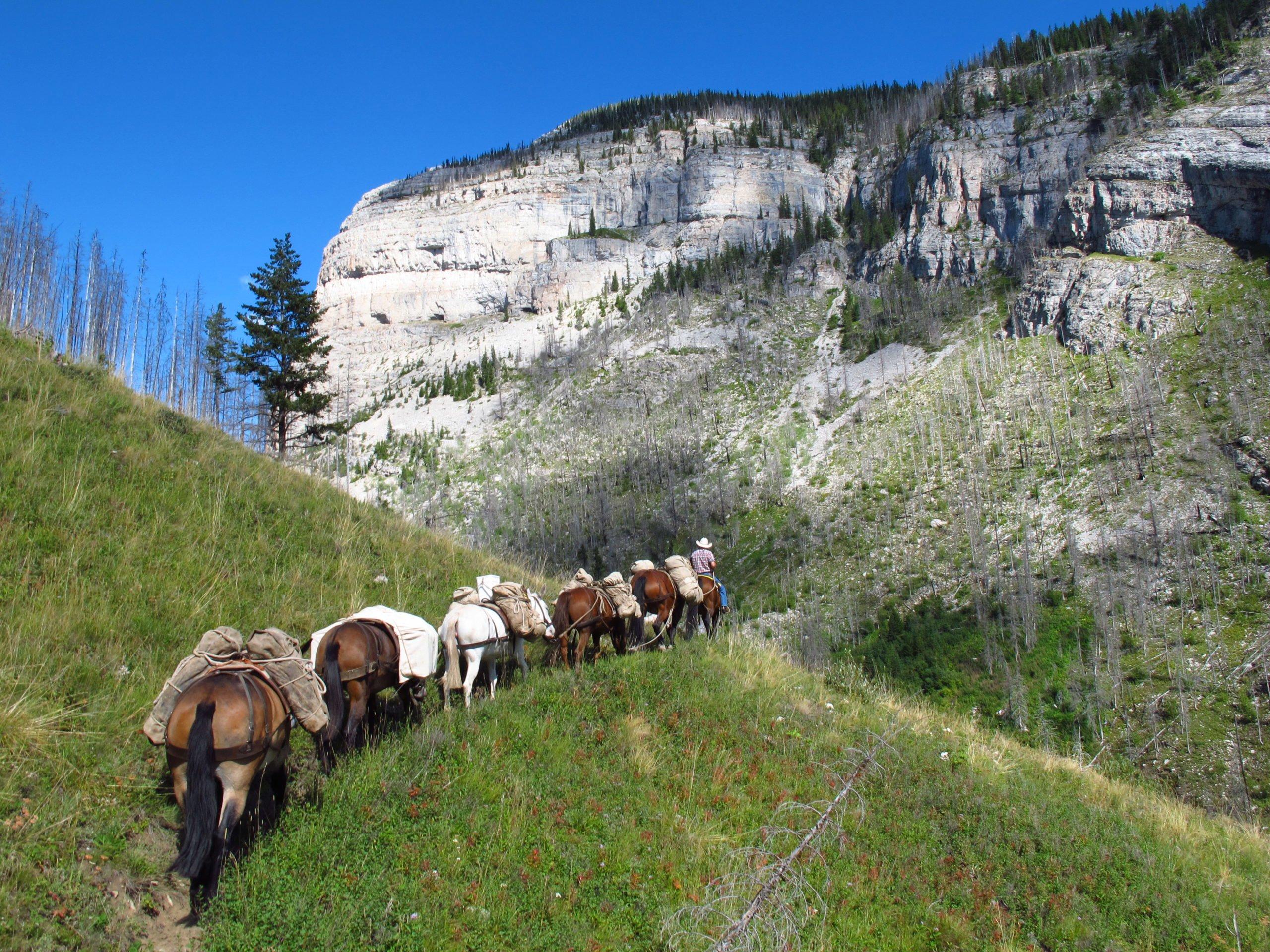 Broken Arrow Lodge—Alder, MT