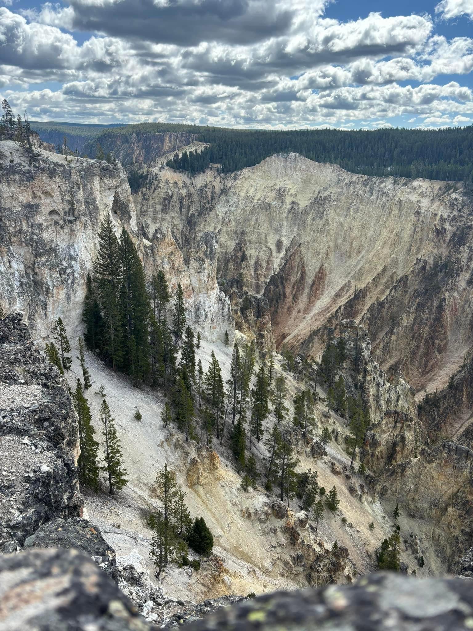 A few pictures from our last week’s trip to Grand Teton and Yellowstone