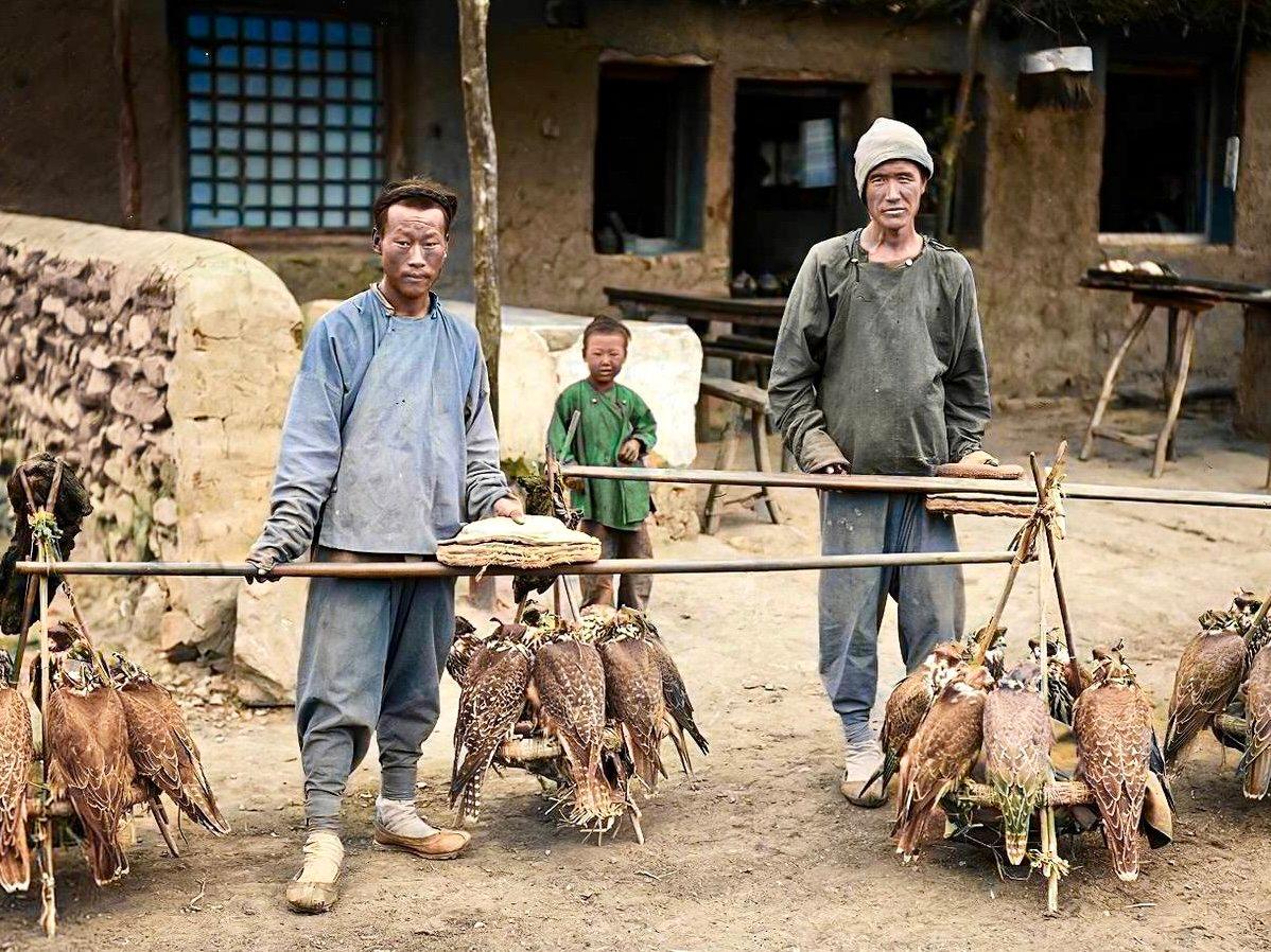 Falconary in China.
