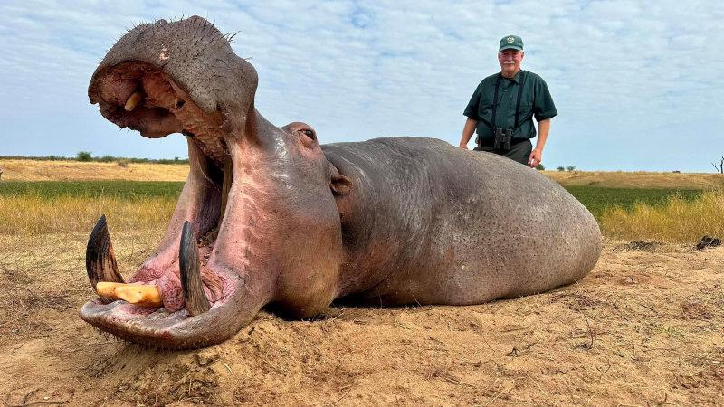 Some fantastic hippo and croc taken in lake Kariba Zimbabwe.