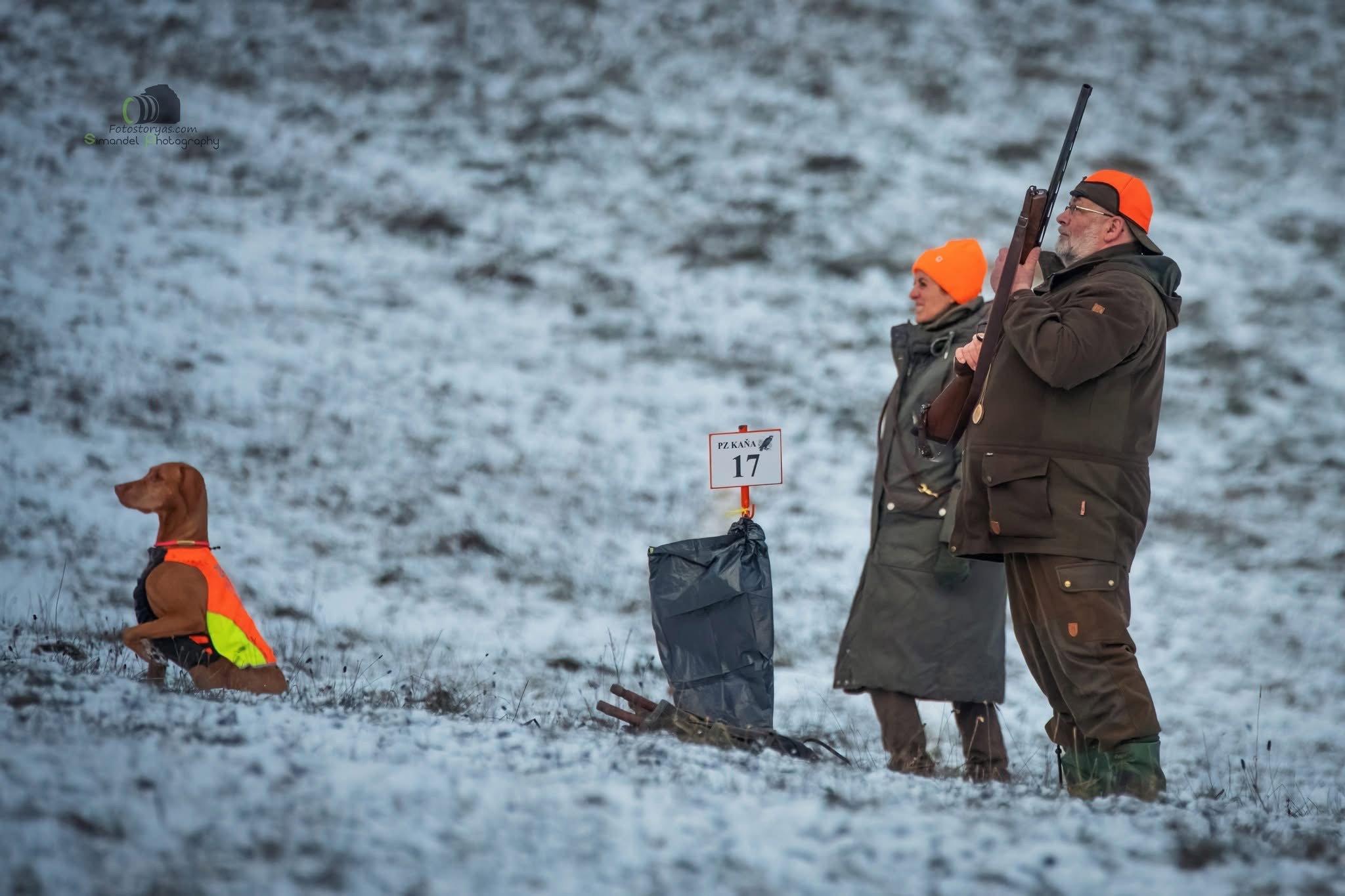 The first series of photos from a pheasant hunt in Northern Slovakia, the slopes of the Maninsky Mountains.