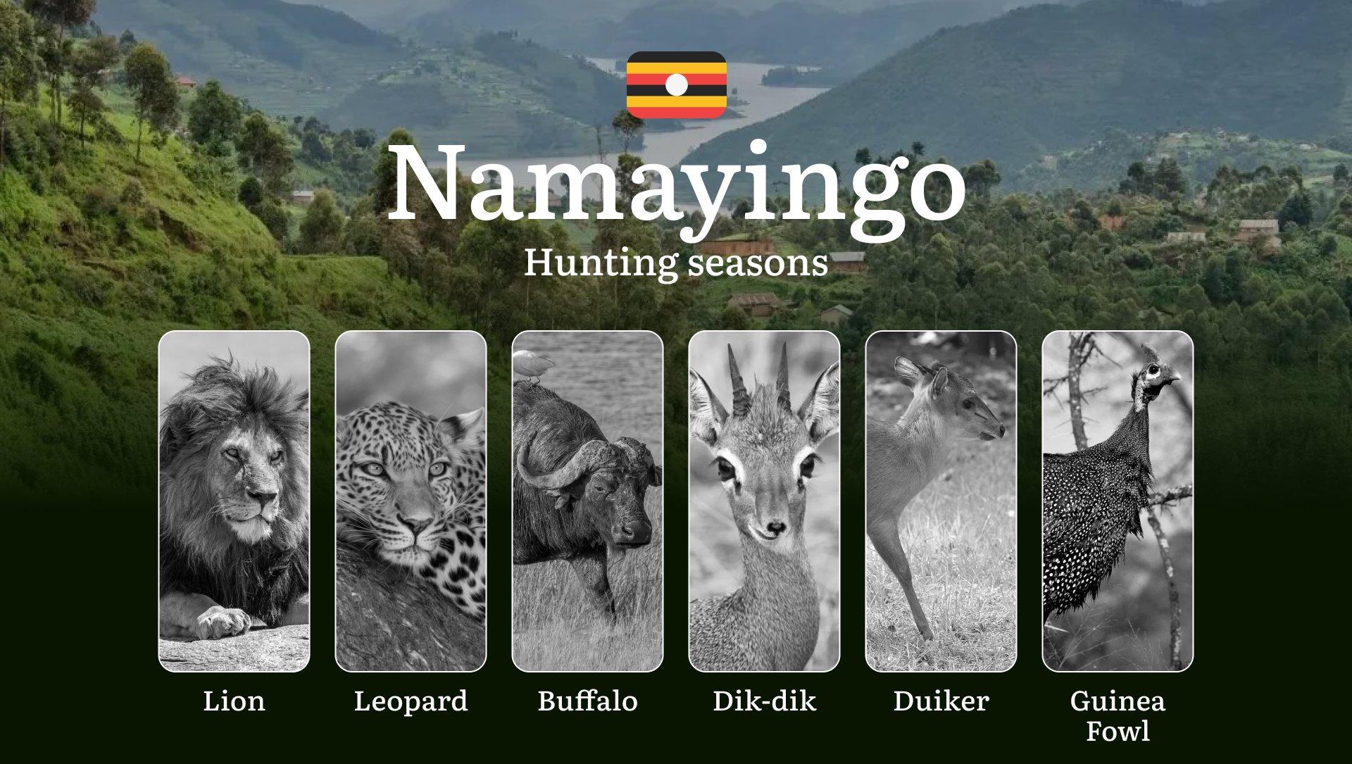 Permitted Hunting Intervals in Namayingo: Year-Round Huntable Wildlife, Seasonal Migration of Game, and the Process for Securing a Legal Hunting Permit 