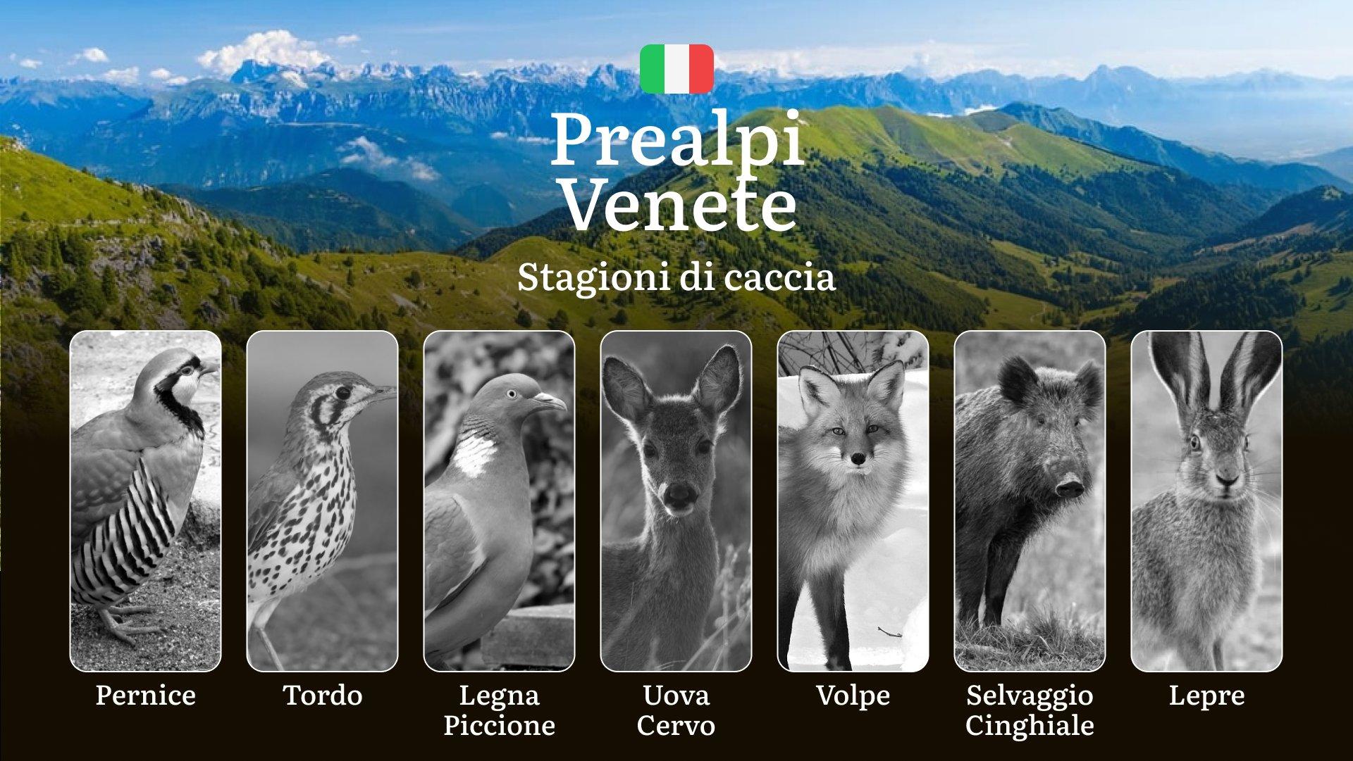 Dalle Prealpi Venete alla Pianura: Calendario Venatorio con Date e Consigli per Ogni Stagione