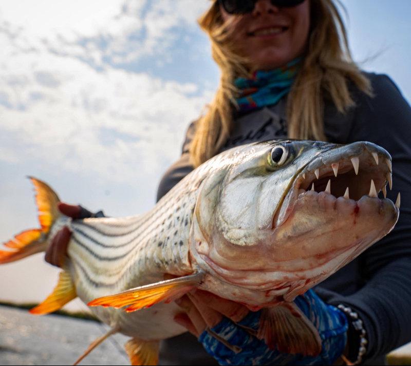 Name This Fish 👇