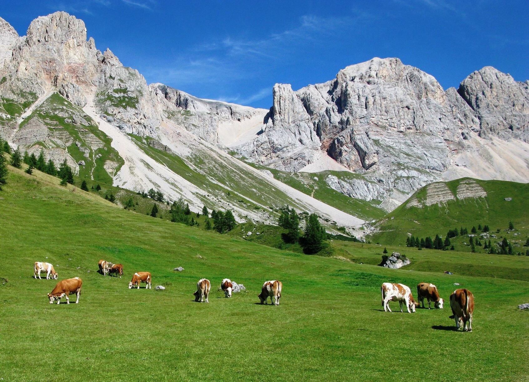 Caccia nelle Zone del Gennargentu: Un’Esplorazione tra Montagne Selvagge, Caratteristiche geografiche, Tradizioni Sarde e Rigore Ambientale
