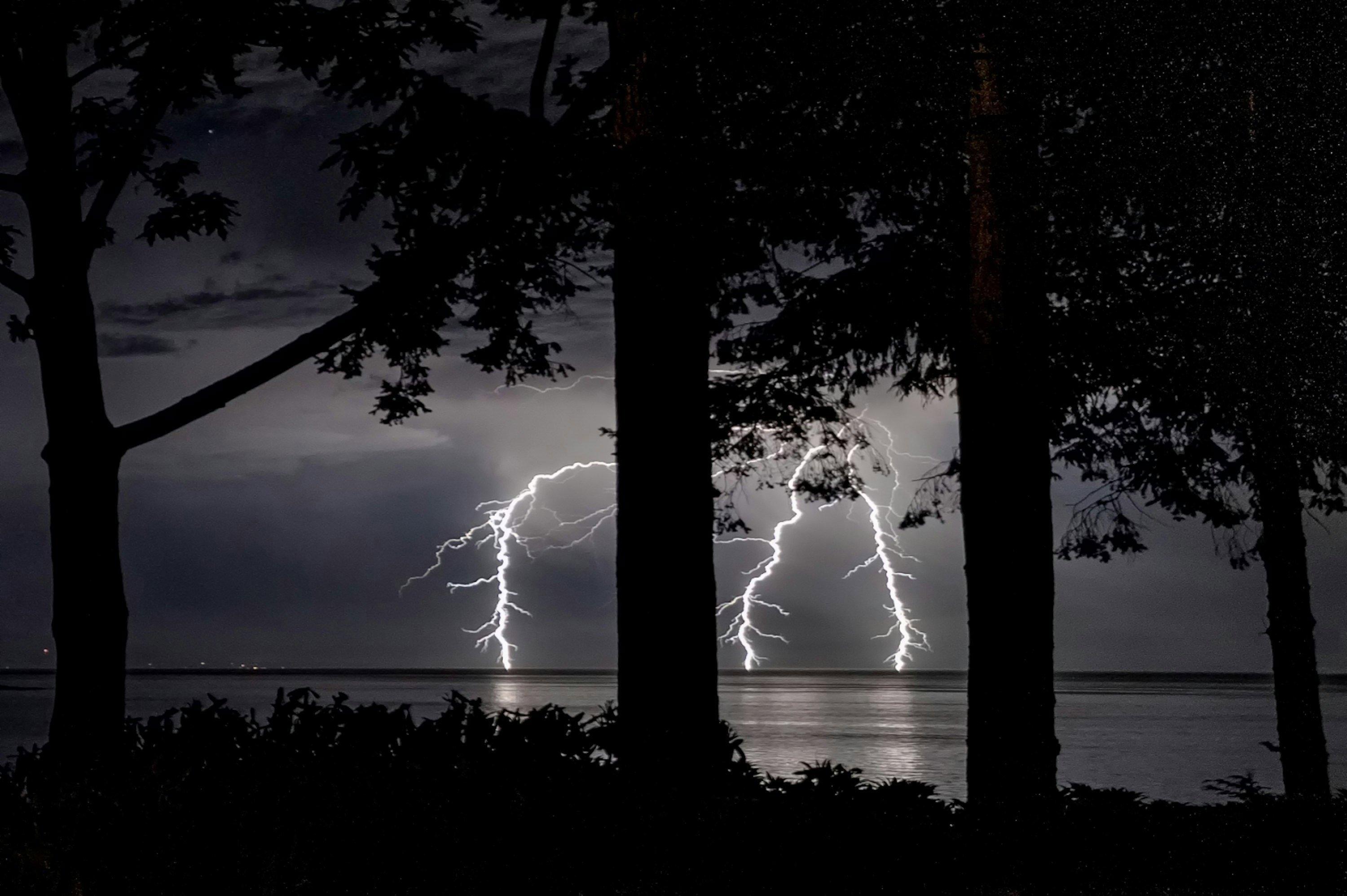 Florida Hunters and Their Dogs Killed by Lightning Strike in Highlands County