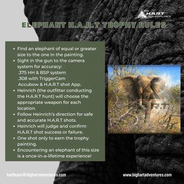 With Pete's first Elephant H.A.R.T hunt around the corner, it is important to understand the rules of a successful H.A.R.T hunt.