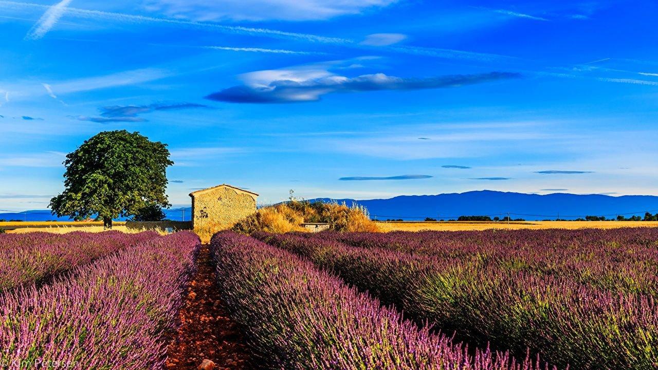 Ten of the world's best hunting destinations