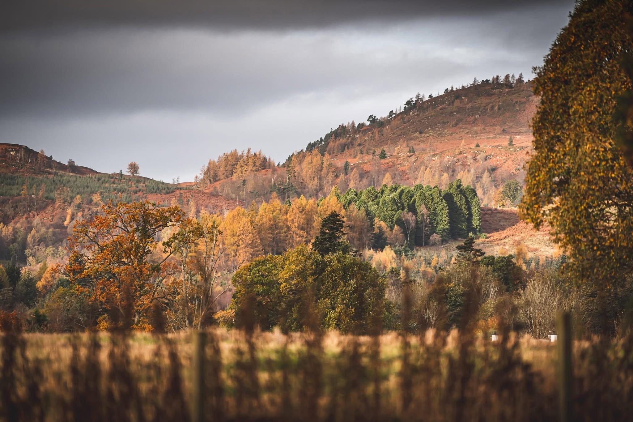 Murthly & Strathbraan Estates are situated at the entrance to the Scottish Highlands.