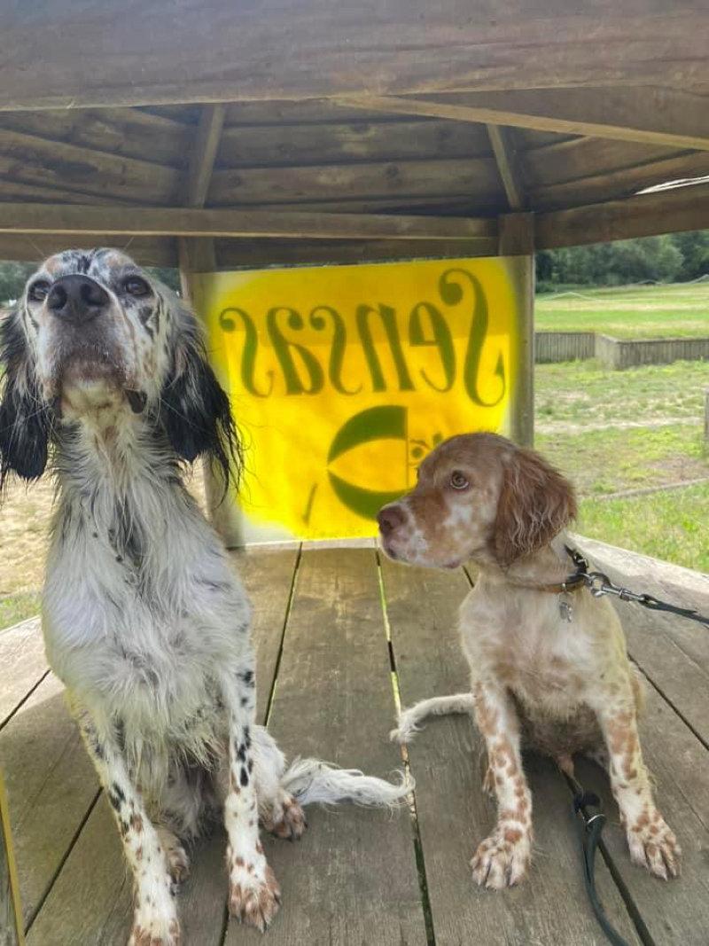 Superbe balade en compagnie du jeune Ulysse 🥰😍