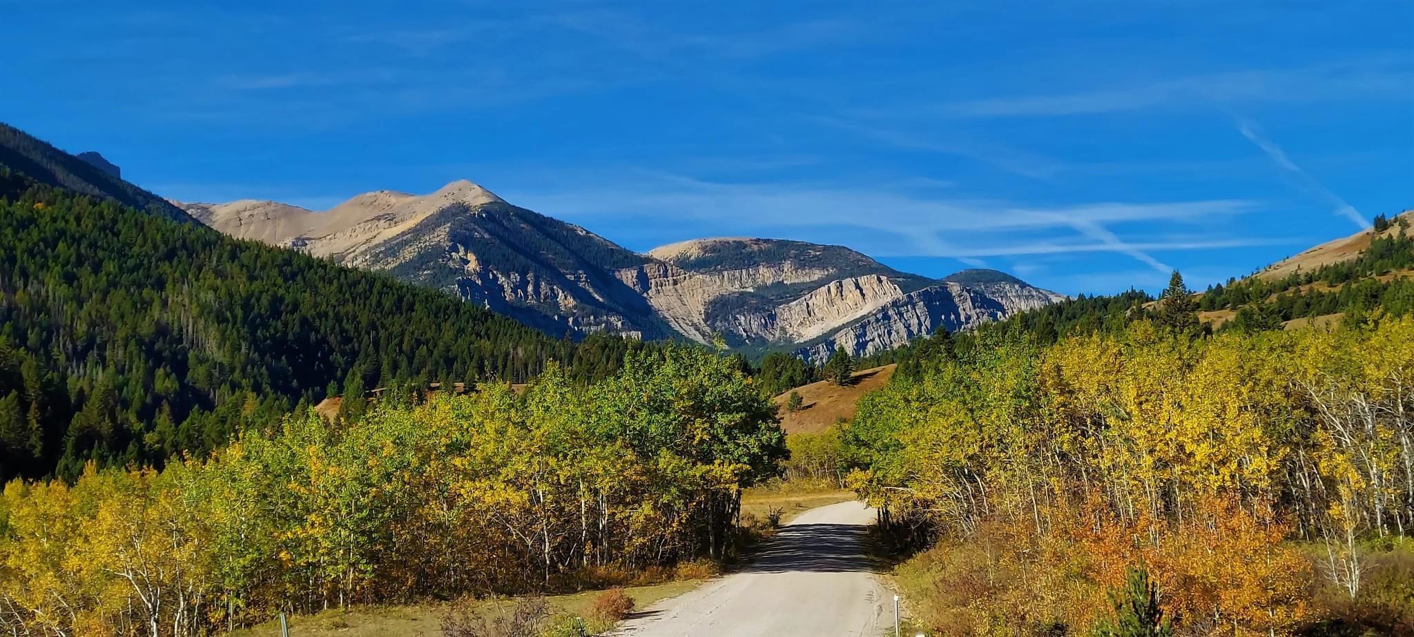 'Crown Mountain'