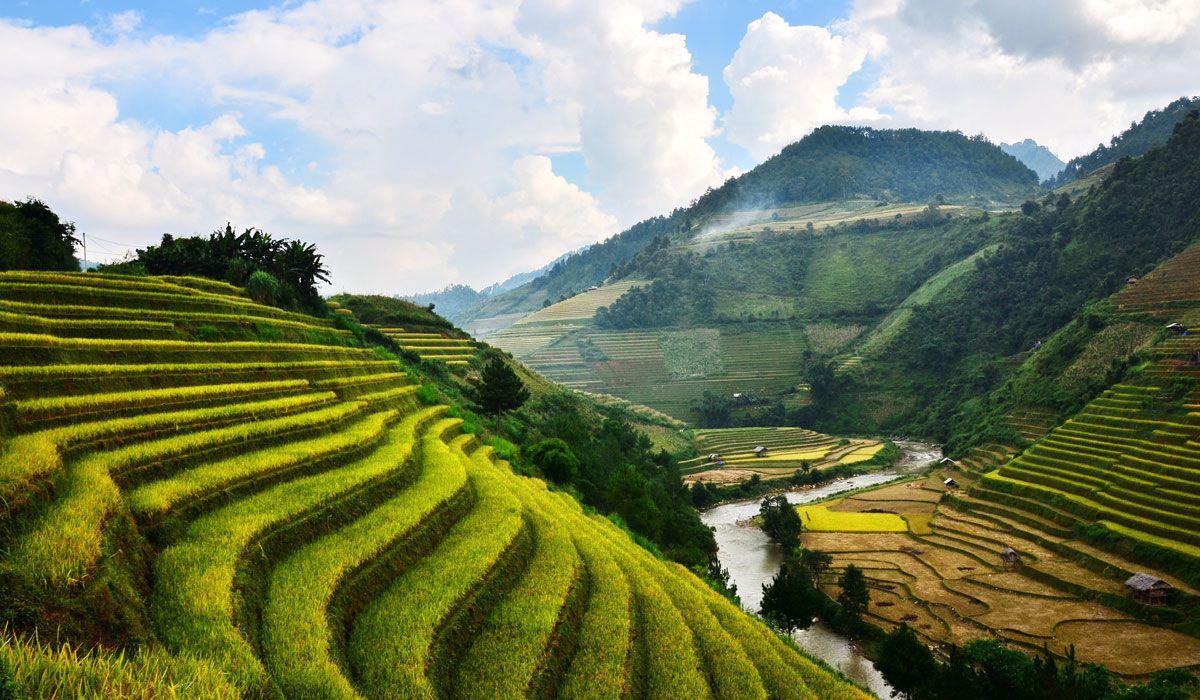 Mù Cang Chải, Vietnam
