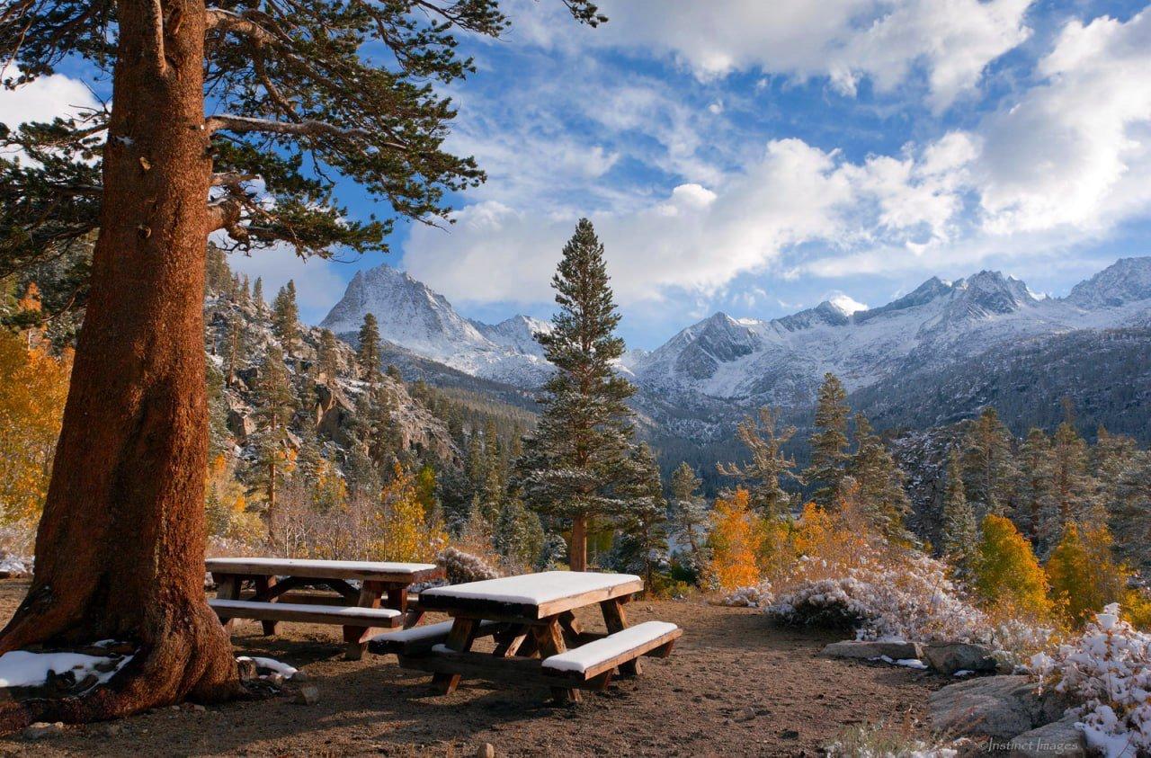California offers a diverse range of hunting opportunities, from the majestic Sierra Nevada mountains to the sprawling Central Valley.