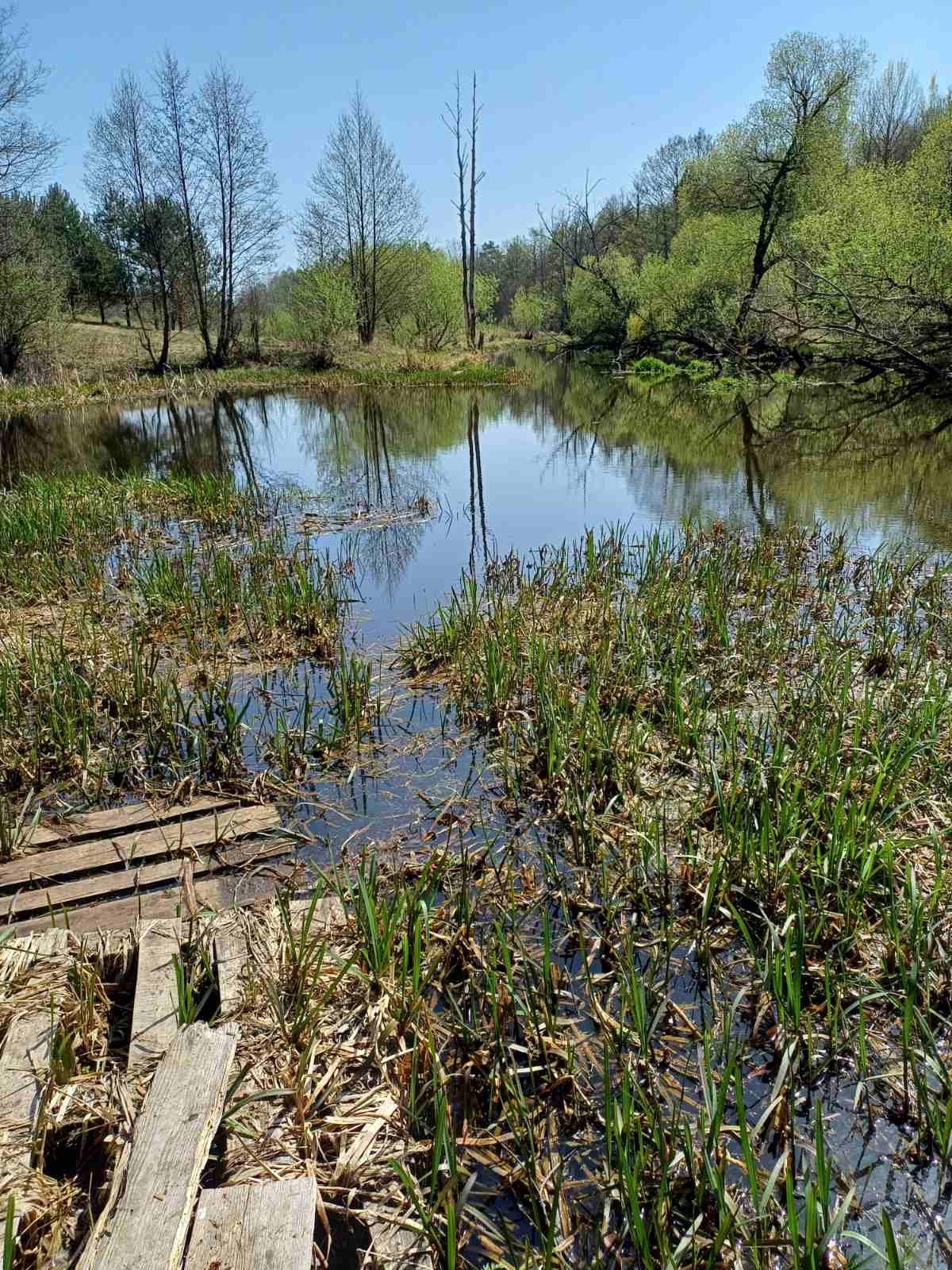 Березинский заповедник