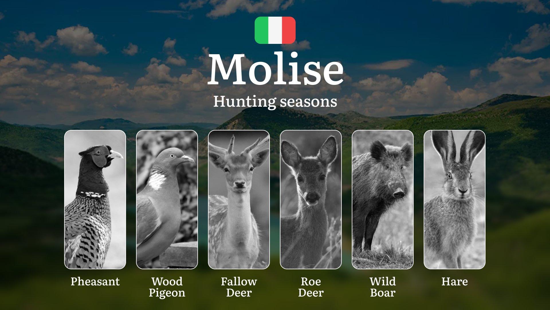 Molise Small Game Calendar: Year-Round Opportunities for Hare and Woodcock in Italy's Hidden Region