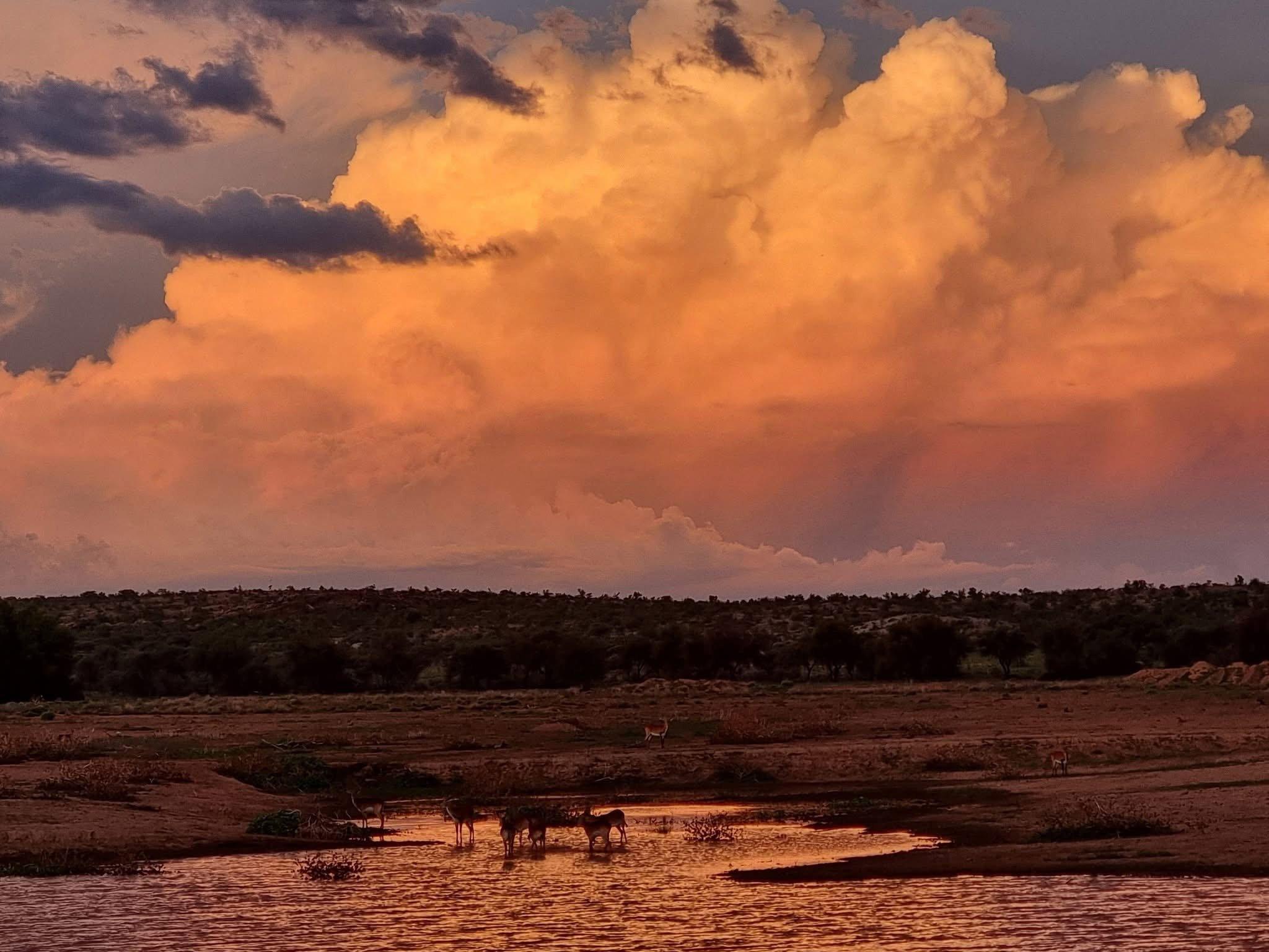 Ending an excellent safari like this in Namibia with longterm clients and and friends at Friedental Hunting and Guestfarm in association with Marko Sibold Hunting Safaris.