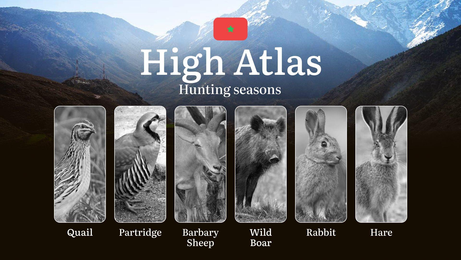 Hunting Periods and Permits in High Atlas: A Detailed Look at Game Movement Throughout the Year, Seasonal Limits, and Licensing Requirements and Application Process 