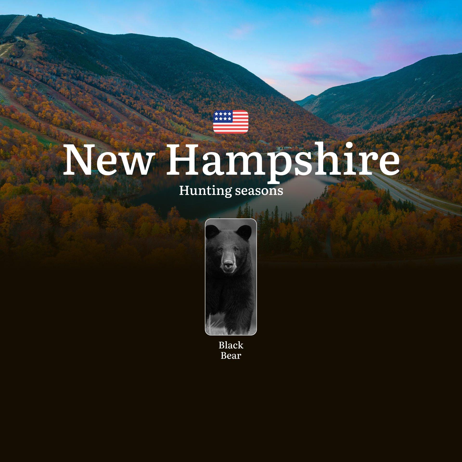 Black Bear Hunting Seasons in New Hampshire: Hunting Calendar, Rules, Dates, Licenses and Tips, Penalties for Violating Hunting