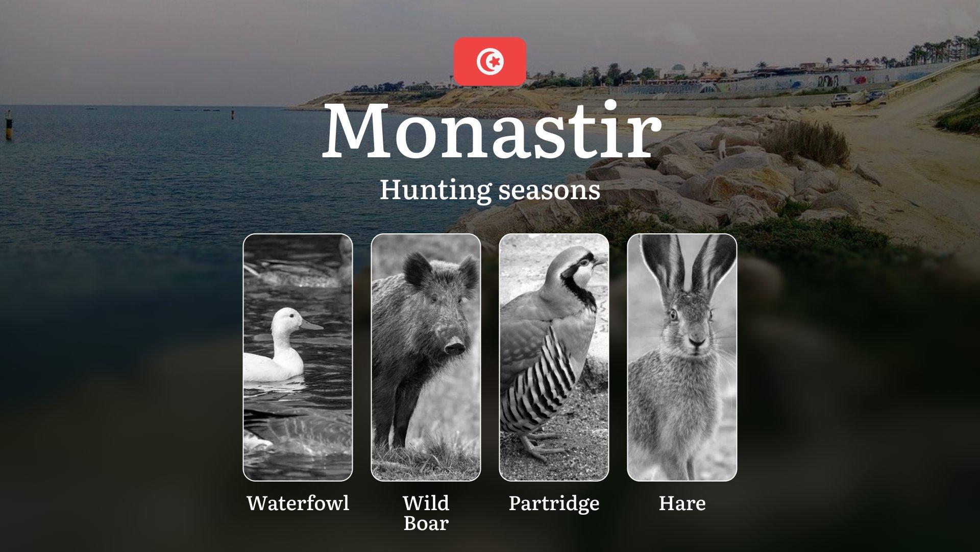 Hunting Seasons in MONASTIR: Full Season Calendar, Licensing Information, Practical Recommendations, Protected Species, Key Regulations and Restrictions