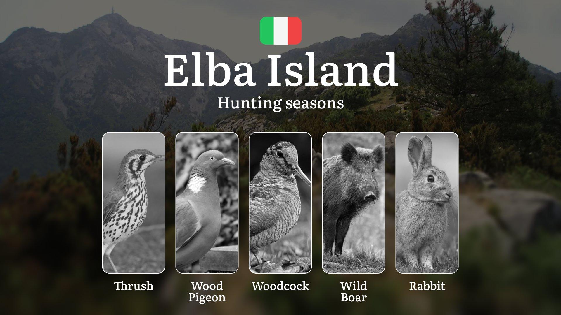Elba's Hunting Secrets: Mastering Seasons, Permits & Island Traditions in Tuscany's Crown Jewel