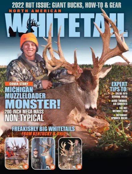 North American Whitetail