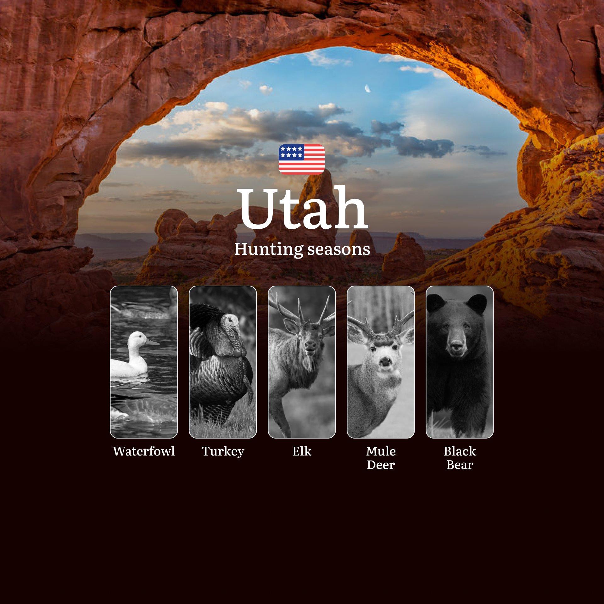 Seasons of Hunting in Utah: Laws, Dates, and Regional Features of region, Seasonal Patterns and Animal Activity, Documents, Clubs, and Limited Entry