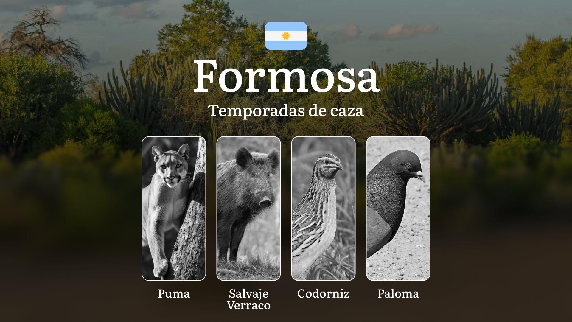 Reglas y plazos, Temporadas de caza en la provincia de Formosa, Argentina: todo lo que debe saber el cazador moderno