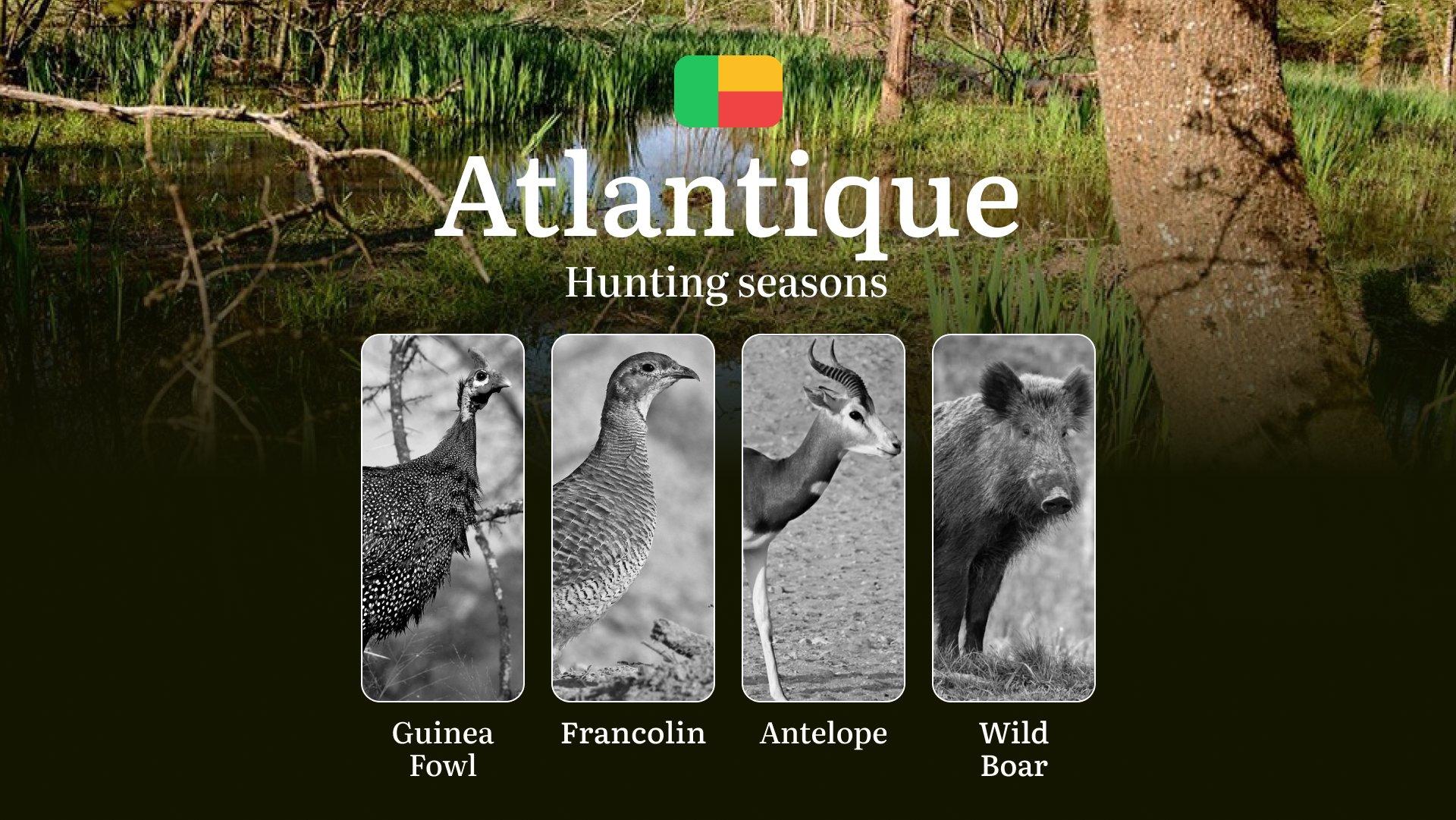 Seasons of Hunting in the ATLANTIQUE Region, Benin: Timing and Hunting Seasons, Protected Species and Restrictions, Licenses and Permits