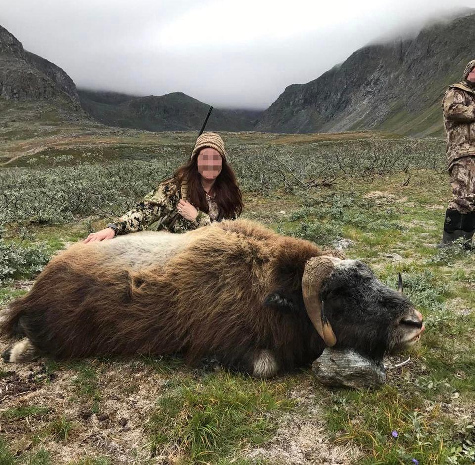 Go on a hunt in South Greenland.