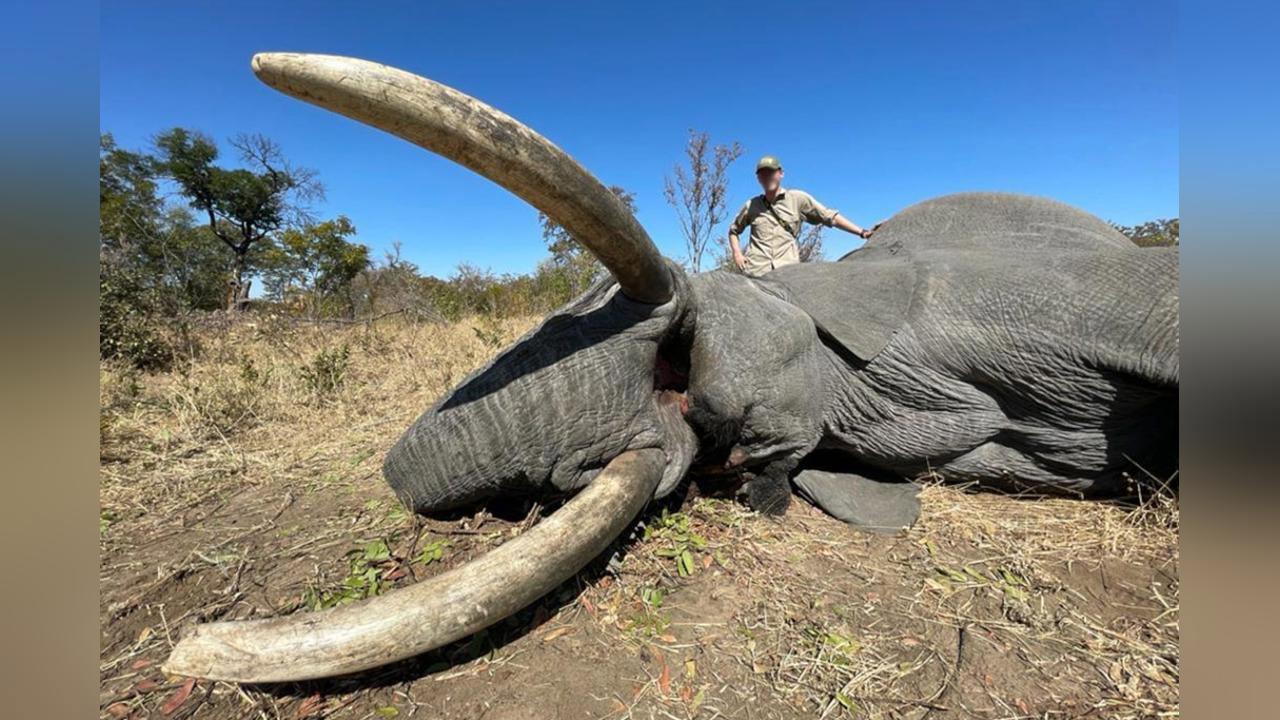 Hunting in Kgatleng District (Botswana): Features, Demographics, Types of Hunting, Game Species, Hunting Seasons, Clubs, Legislation, Traditions.