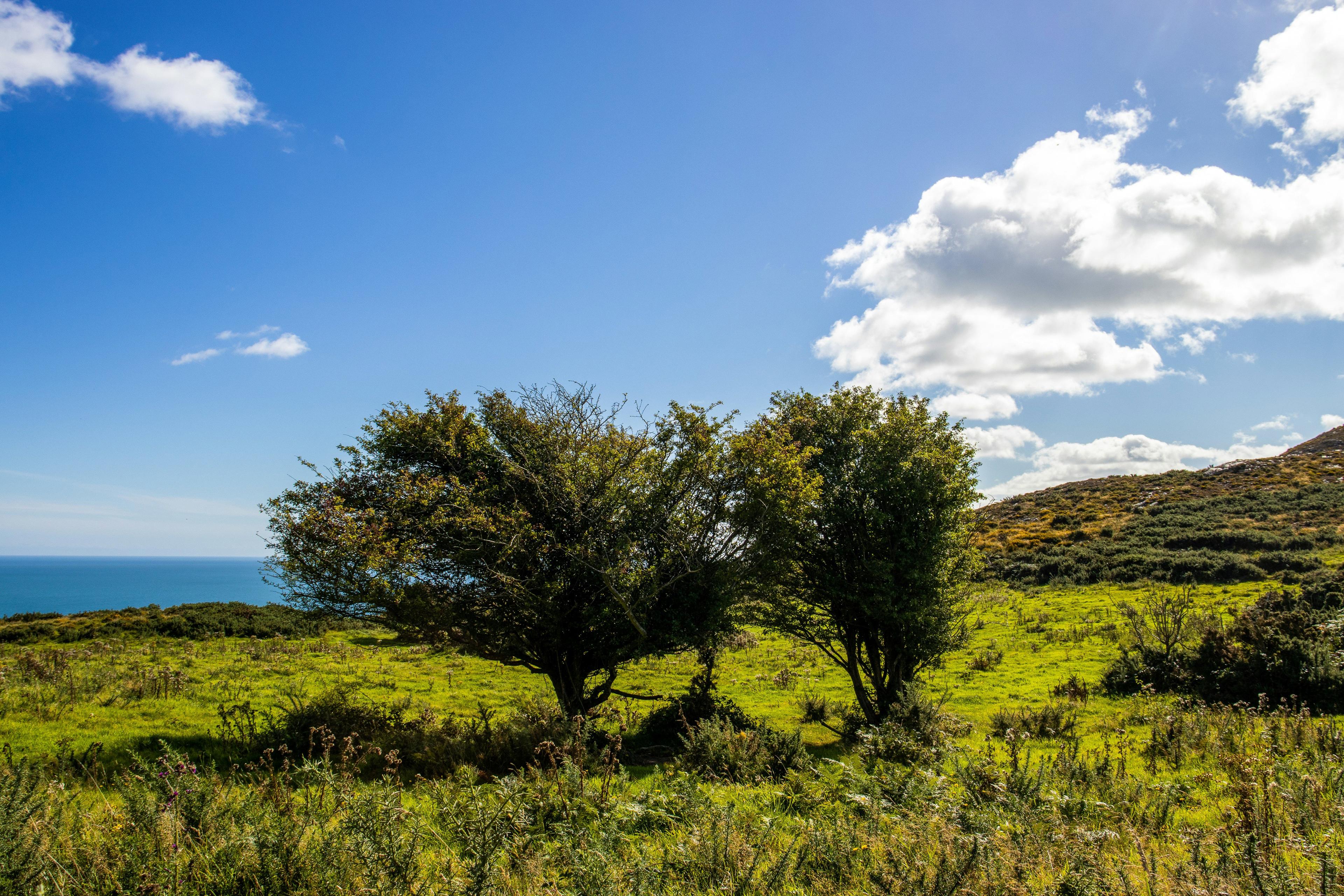 Monaghan Game Shooting in Ireland: A Premier Destination for Hunters.