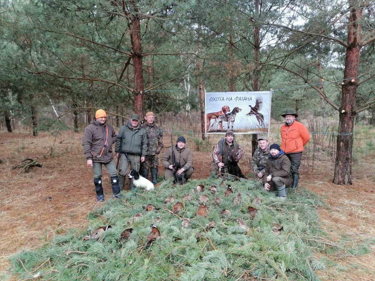 В Свислочском охотхозяйстве учреждения «Гродненская областная организационная структура» РГОО «Белорусское общество охотников и рыболовов» состоялась «Королевская охота» на выпускного фазана.
