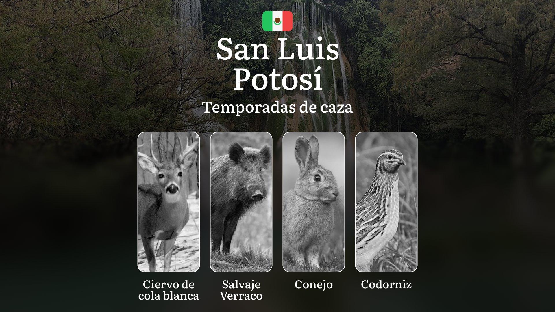 Temporadas y períodos de caza en San Luis Potosí: Patrones Estacionales y Regulaciones, Cómo Obtener un Permiso en la Región