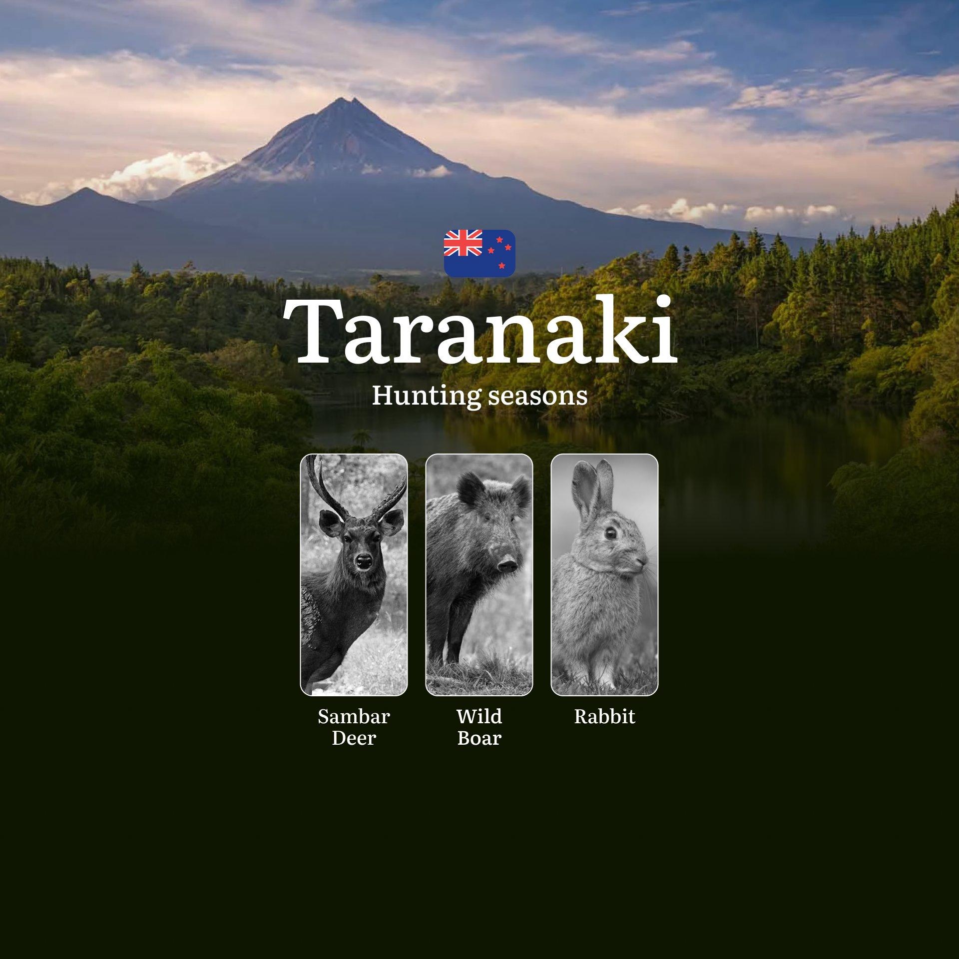 Hunting Seasons in New Zealand: TARANAKI Region Overview – Seasons, Open and Close Dates, Licenses, Rules, and Best Times to Hunt in New Zealand