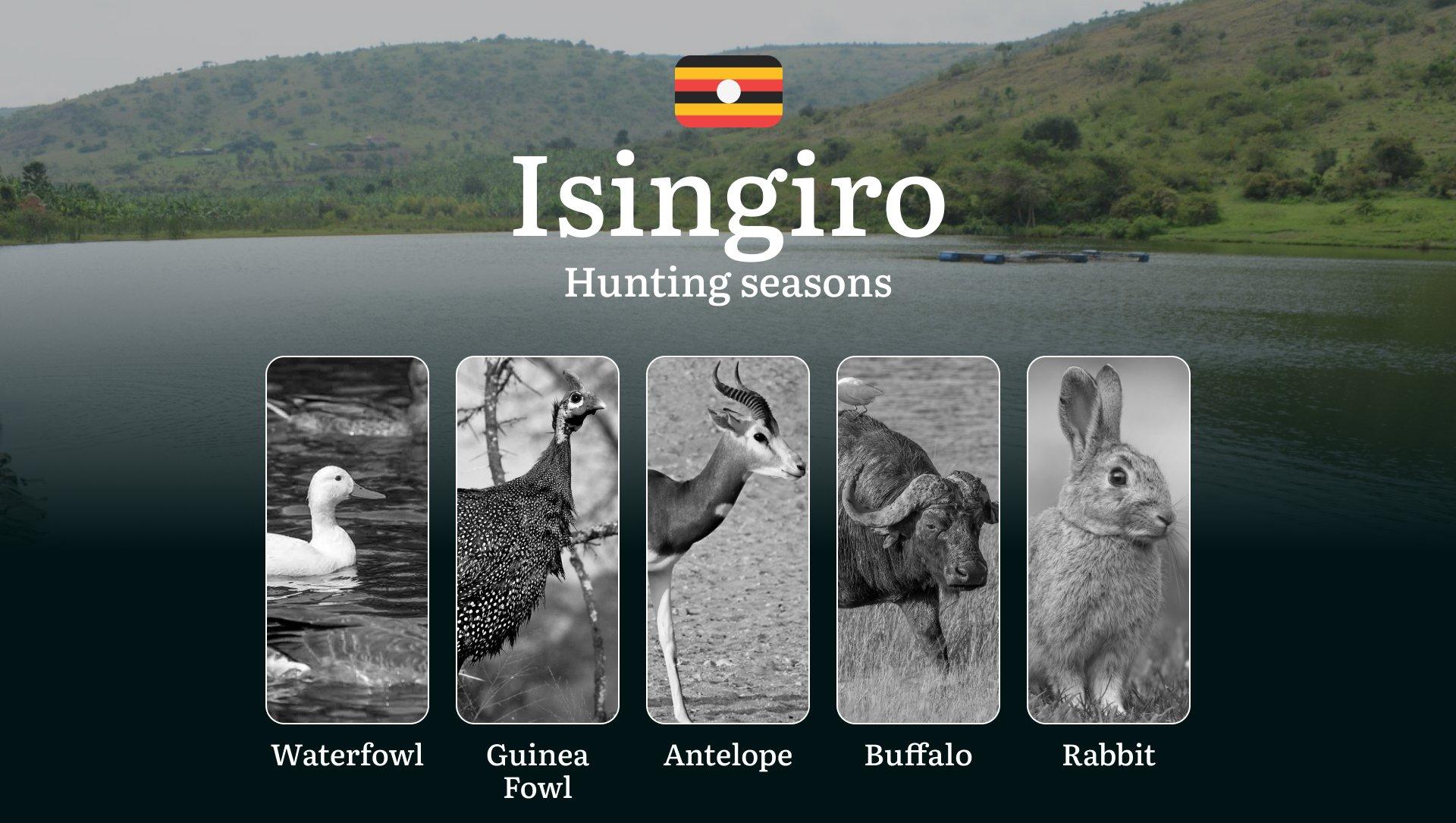 Hunting Date Ranges in Isingiro: Hunting Periods, Legal Limits and Seasonal Bans, Licensing Rules, Fines and Consequences, Strategic Planning, Timing, Equipment
