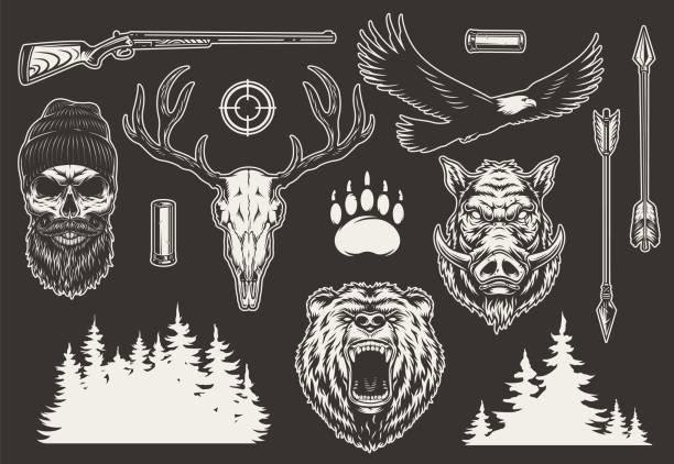 Animals Hunting illustrations